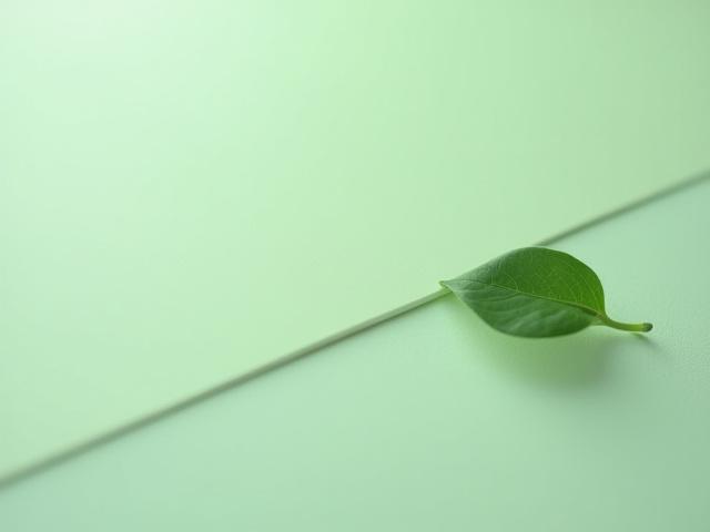 天然素材のリノリウム表面